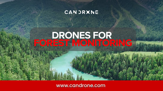 Forestry Monitoring Challenges Drones Are Solving